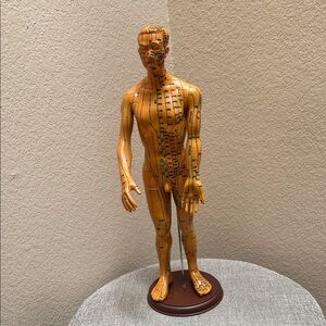 Human Body Acupuncture Male Mode…